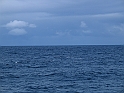 Obraz 463